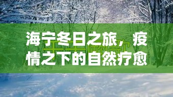 海宁冬日心灵疗愈之旅，疫情下的自然探索与心灵发现