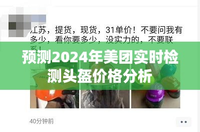 美团头盔实时检测价格分析与预测（2024年）