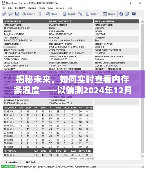 揭秘未来技术，实时查看内存条温度的方法——以预测未来日期为例（猜测日期为2024年12月22日）