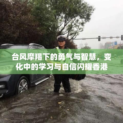 台风摩羯下的勇气与智慧，香港在变化中的学习与自信闪耀