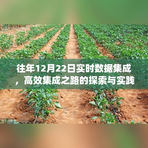 往年数据实时集成实践，高效集成之路的探索与探索