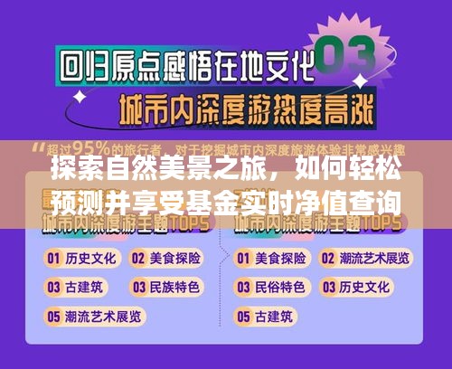 自然美景与金融之旅，如何轻松预测并享受基金实时净值查询的乐趣？