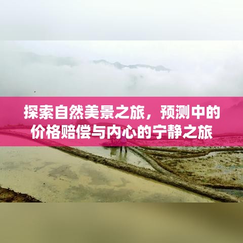 自然探索之旅，美景、赔偿与内心宁静的交融