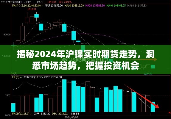 揭秘2024年沪镍实时期货走势，洞悉市场趋势，把握投资机会大解密