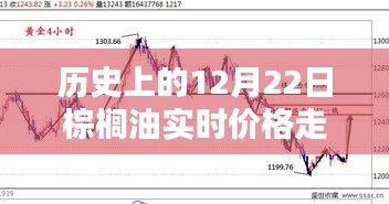 棕榈油实时价格走势深度解析，历史12月22日回顾