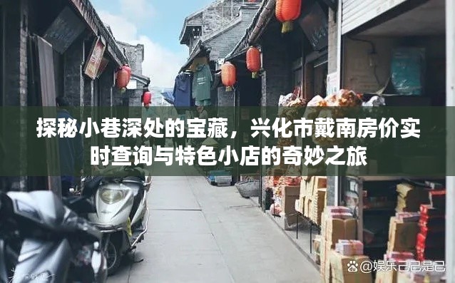 探秘小巷深处的宝藏，兴化市戴南房价查询与特色小店之旅