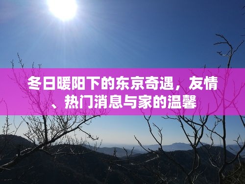 东京暖冬奇遇，友情、热门消息与家的温馨时光