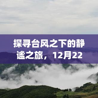 探寻台风之下的静谧之旅，与自然共舞在冬日的奇迹时刻