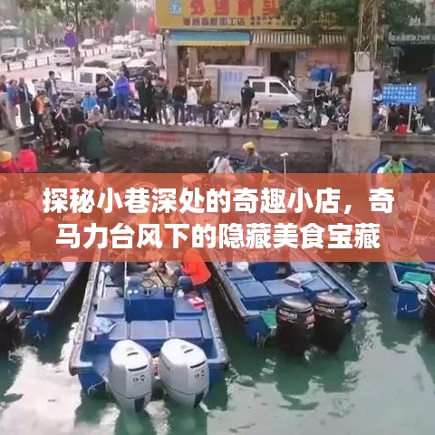 小巷深处的奇趣小店，台风奇马力下的隐藏美食宝藏探秘