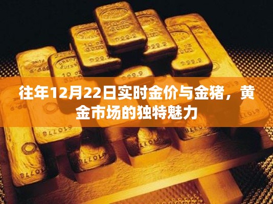 黄金市场魅力揭秘，金猪与实时金价走势分析（往年12月22日）