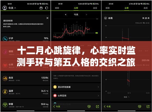 十二月心跳旋律，心率监测手环与第五人格的奇妙之旅
