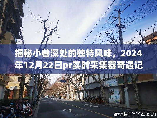 揭秘小巷深处的独特风味，pr实时采集器奇遇记（2024年12月22日）