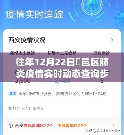 鄠邑区肺炎疫情实时动态查询指南，12月22日查询步骤详解，适合初学者与进阶用户