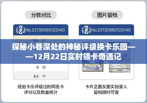 探秘神秘评级换卡乐园，实时领卡奇遇记，小巷深处的秘密之旅（12月22日）