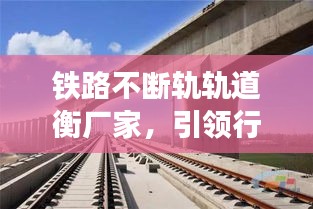 铁路不断轨轨道衡厂家，引领行业进步的关键力量