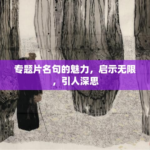 专题片名句的魅力，启示无限，引人深思