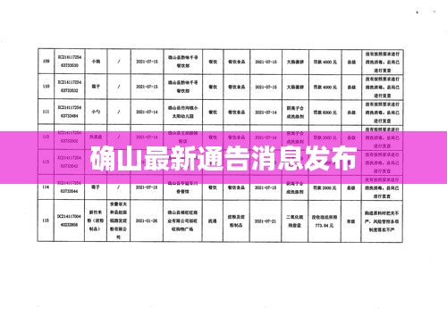 确山最新通告消息发布