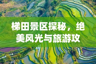 梯田景区探秘，绝美风光与旅游攻略全解析