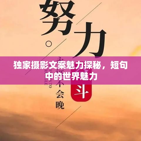 独家摄影文案魅力探秘，短句中的世界魅力