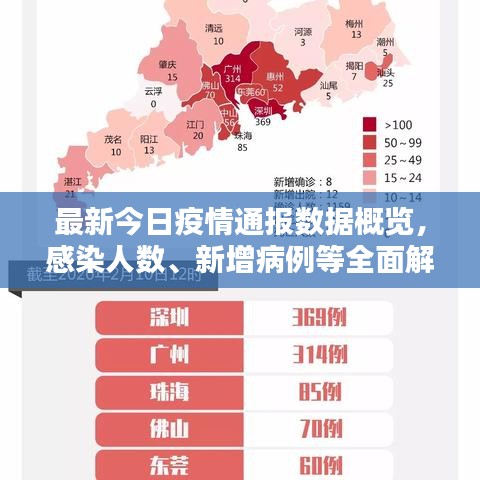 最新今日疫情通报数据概览，感染人数、新增病例等全面解析