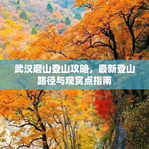 武汉磨山登山攻略，最新登山路径与观赏点指南