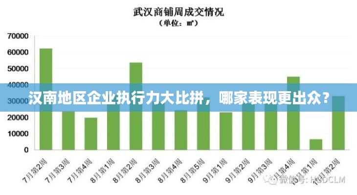 汉南地区企业执行力大比拼，哪家表现更出众？