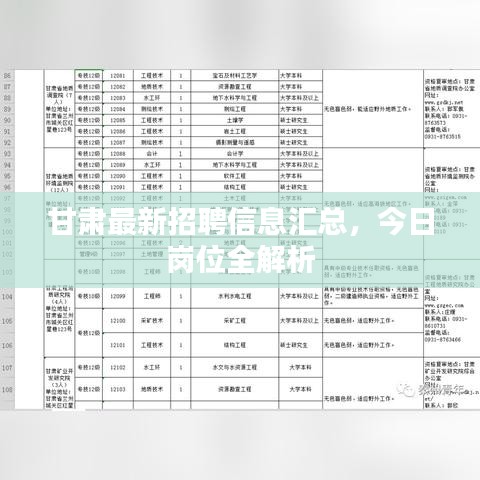 甘肃最新招聘信息汇总，今日岗位全解析