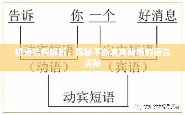 短语结构解析，揭秘不断发声背后的语言奥秘