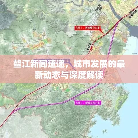 鳌江新闻速递，城市发展的最新动态与深度解读