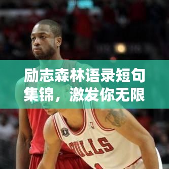 励志森林语录短句集锦，激发你无限潜能的箴言妙句