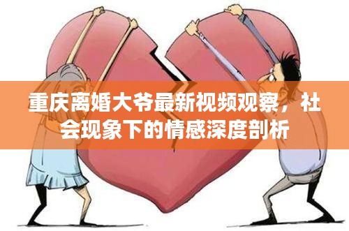 重庆离婚大爷最新视频观察，社会现象下的情感深度剖析