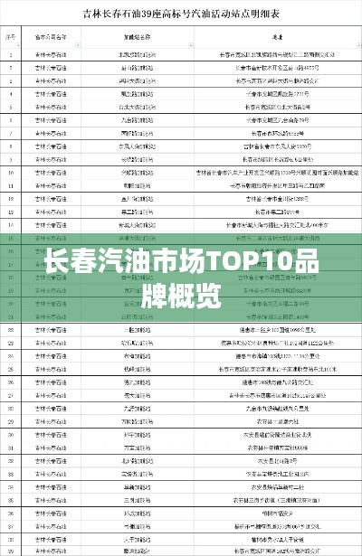长春汽油市场TOP10品牌概览