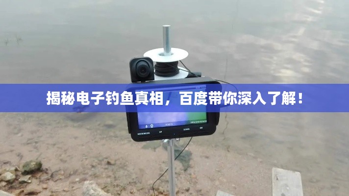 揭秘电子钓鱼真相，百度带你深入了解！