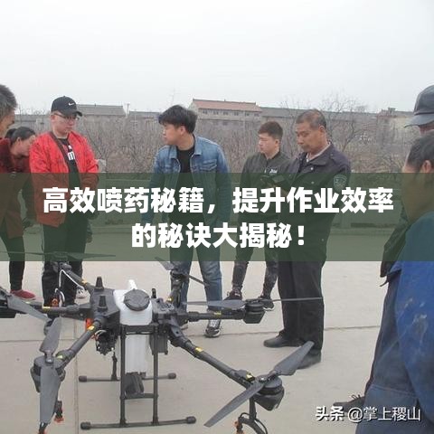 高效喷药秘籍，提升作业效率的秘诀大揭秘！