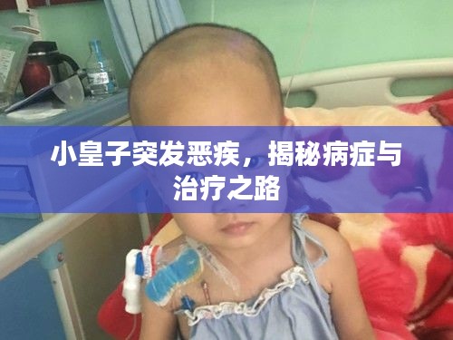 小皇子突发恶疾，揭秘病症与治疗之路