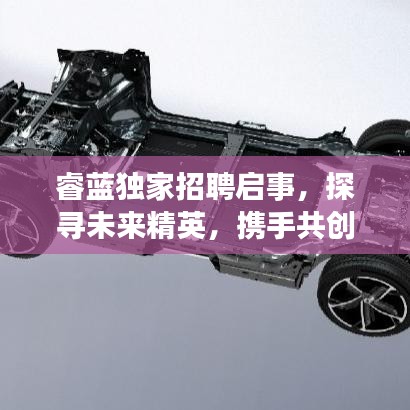 睿蓝独家招聘启事，探寻未来精英，携手共创行业传奇