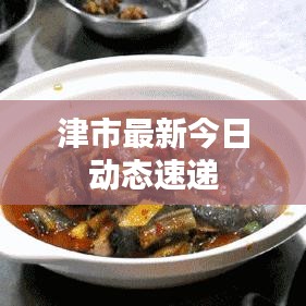津市最新今日动态速递