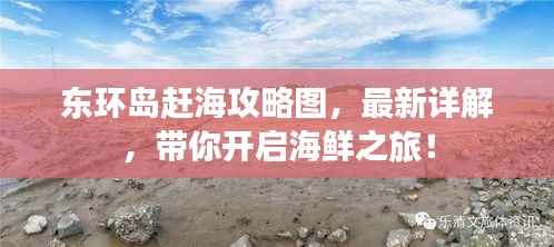 东环岛赶海攻略图，最新详解，带你开启海鲜之旅！