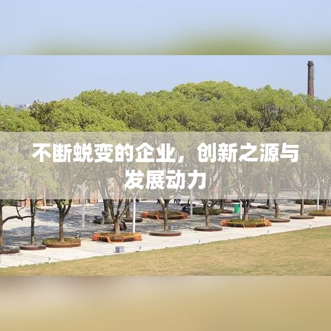 不断蜕变的企业，创新之源与发展动力