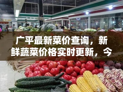 广平最新菜价查询，新鲜蔬菜价格实时更新，今日一览便知