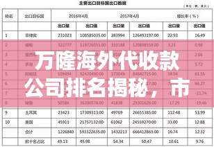 万隆海外代收款公司排名揭秘，市场分析深度解读