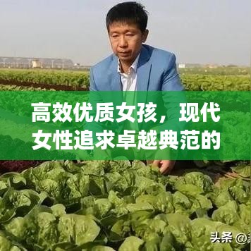 高效优质女孩，现代女性追求卓越典范的启示