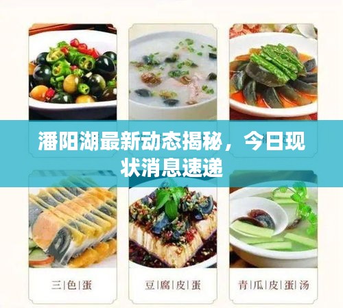 潘阳湖最新动态揭秘，今日现状消息速递