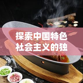 探索中国特色社会主义的独特魅力，专题解析中特之道