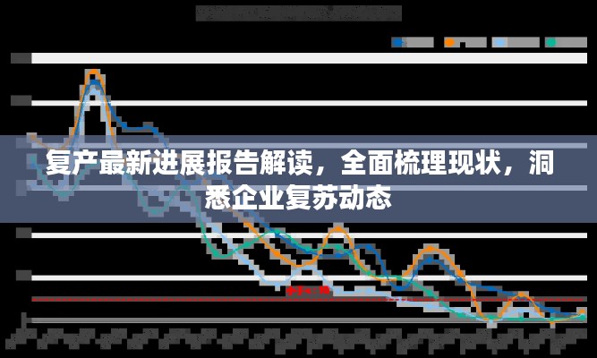 复产最新进展报告解读，全面梳理现状，洞悉企业复苏动态