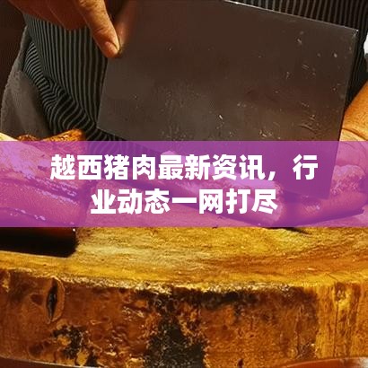越西猪肉最新资讯，行业动态一网打尽