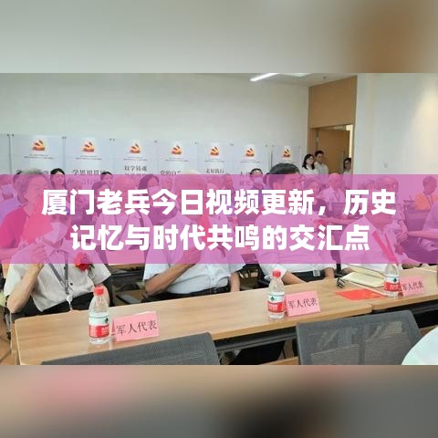 厦门老兵今日视频更新，历史记忆与时代共鸣的交汇点