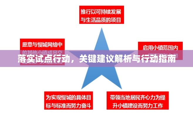 落实试点行动，关键建议解析与行动指南