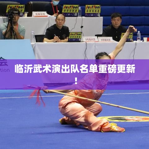 临沂武术演出队名单重磅更新！