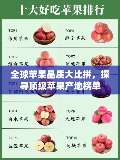 全球苹果品质大比拼，探寻顶级苹果产地榜单
